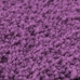 2 Daļu Vannas Paklāju Komplekts Violets Polipropilēns Pretslīdēšana Vidaxl
