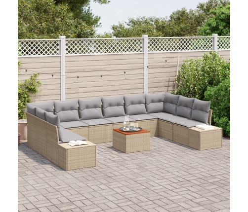 11 Daļu Dārza Dīvānu Komplekts Ar Spilveniem Bēšs Poli Rotangpalma Akacijas Vidaxl