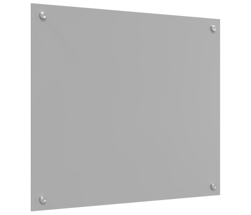 Virtuves Aizsarglāze Gaiši Pelēks 70X60X0,6 Cm Rūdīts Stikls Vidaxl