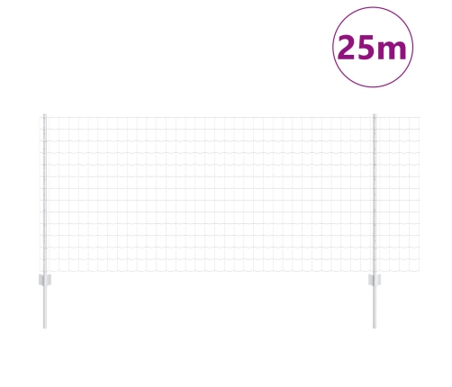 Žogu Komplekts 2 Gabali Cinkots Tērauds 25 X 1 M Izturīgs Vidaxl