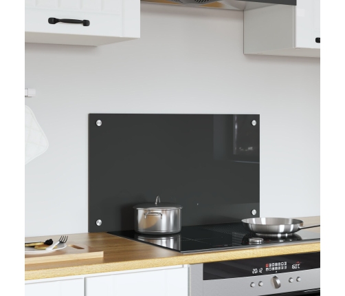 Virtuves Aizsardzība Tumšpelēka 70X40X0,6 Cm Rūdīts Stikls Vidaxl