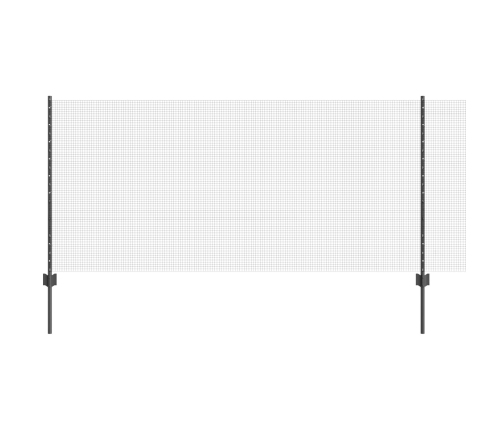 Vistas Acu Žogu Komplekts 2 Gab. Pelēks Metāls 10 X 1 M Žogs Vidaxl