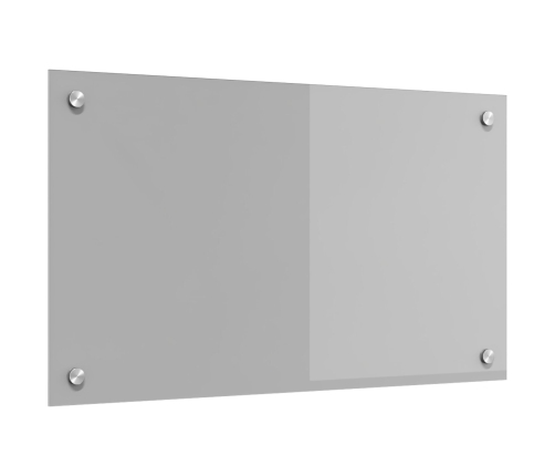 Virtuves Panna Gaiši Pelēkā 70X40X0,6 Cm Rūdīts Stikls Vidaxl