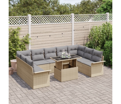 10 Daļu Dārza Dīvāna Komplekts Ar Spilveniem Bēšā Poli Rotangpalma Vidaxl