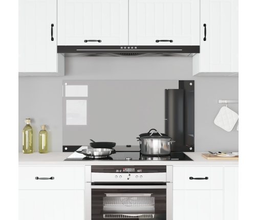 Virtuves Sienas Paneļa Tumši Pelēks 110X60X0,6 Cm Temperēts Stikls Vidaxl