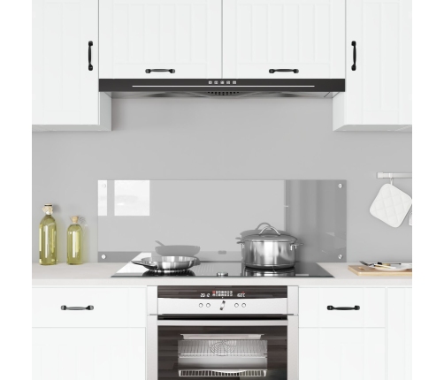 Virtuves Sienas Apgaismojums, Gaiši Pelēks, 120X40X0,6 Cm, Temperēts Stikls Vidaxl