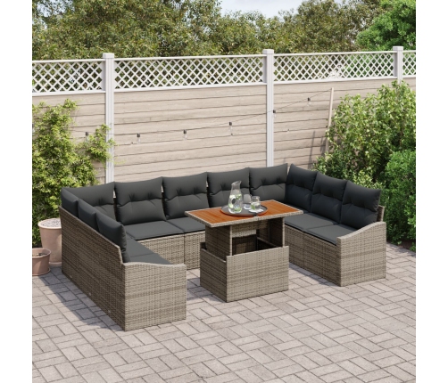 10 Daļu Dārza Ēdamgalds Ar Spilveniem Pelēks Polirattan Akācija Vidaxl