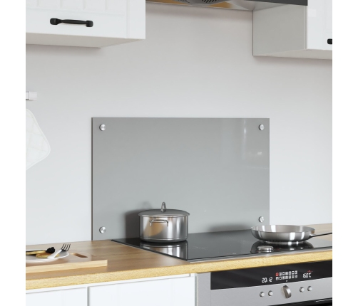 Virtuves Panna Gaiši Pelēkā 70X40X0,6 Cm Rūdīts Stikls Vidaxl