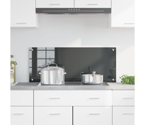 Virtuves Aizsargstikls Tumši Pelēks 100X40X0,6 Cm Rūdīts Stikls Vidaxl