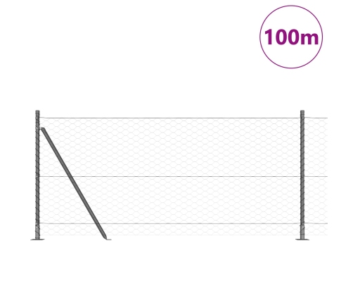 Vidaxl Sešstūra Žogs Pelēks 1X100 M Tērauds,  Žogu Stabi Ar Pamatplāksnēm 13 Gab. Ø32Mm 110Cm Cinkots Tērauds Vidaxl