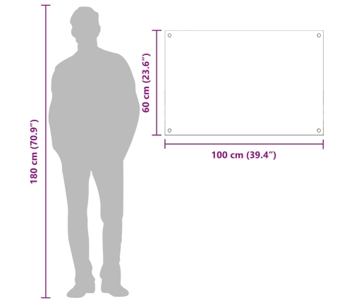 Virtuves Atpakaļgaismā Gaiši Pelēks 100X60X0,6 Cm Rūdīts Stikls Vidaxl