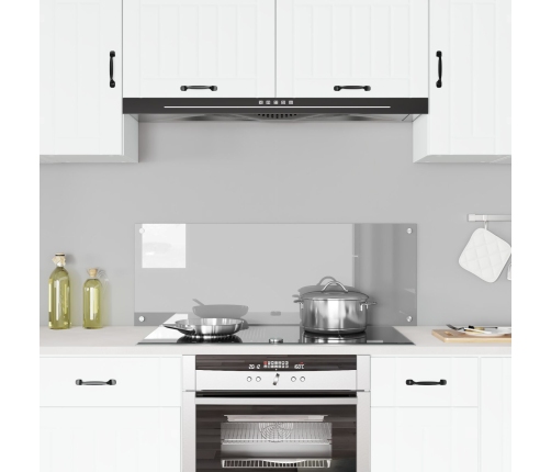 Virtuves Aizsargpaneļa Gaiši Pelēks 110X40X0,6 Cm Temperēts Stikls Vidaxl