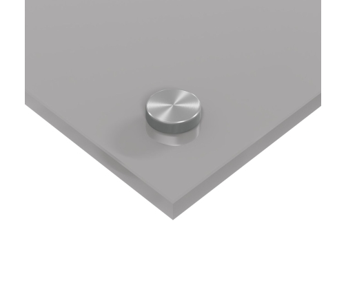 Virtuves Aizsargpaneļi Gaiši Pelēki 100X50X0,6 Cm Rūdīts Stikls Vidaxl