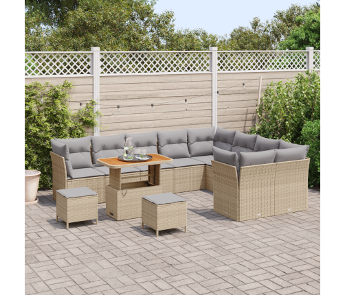 12 Daļu Dārza Dīvānu Komplekts Ar Spilveniem Bēšā Poli Rotangpalmas Akācijā Vidaxl