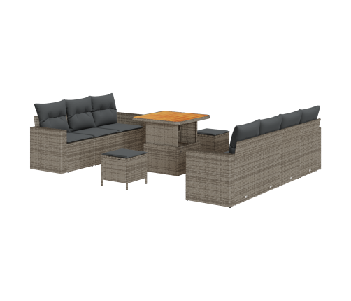 10 Daļu Dārza Dīvānu Komplekts Ar Spilveniem Pelēkā Poliratana Akācijā Vidaxl