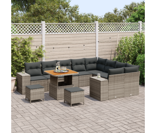 12 Daļu Dārza Dīvānu Komplekts Ar Spilveniem Pelēks Poli Rotangpalma Akācija Vidaxl