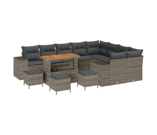 13 Daļu Dārza Dīvāna Komplekts Ar Spilveniem Pelēks Poli Rotangpalmas Akācija Vidaxl