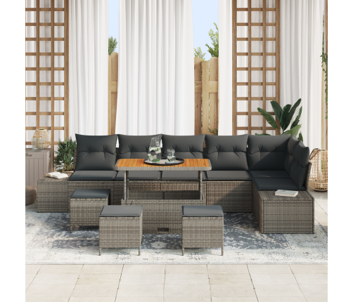10 Daļu Dārza Dīvānu Komplekts Ar Spilveniem Pelēkā Poli Rotangpalmas Akacijā Vidaxl
