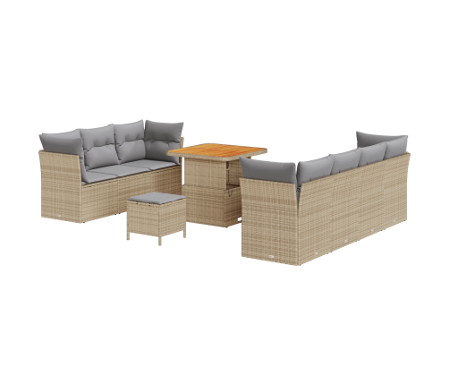 10 Daļu Dārza Dīvānu Komplekts Ar Spilveniem Bēšs Poli Rotangpalma Akācija Vidaxl