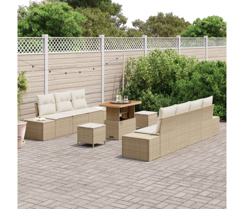 10 Daļu Dārza Dīvānu Komplekts Ar Spilveniem Bēšā Poli Rotangpalmas Akāciju Vidaxl