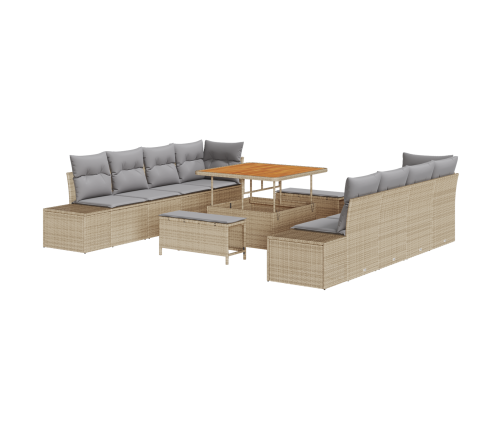 11 Daļu Dārza Dīvānu Komplekts Ar Spilveniem Bēšs Poli Ratan Akācija Vidaxl