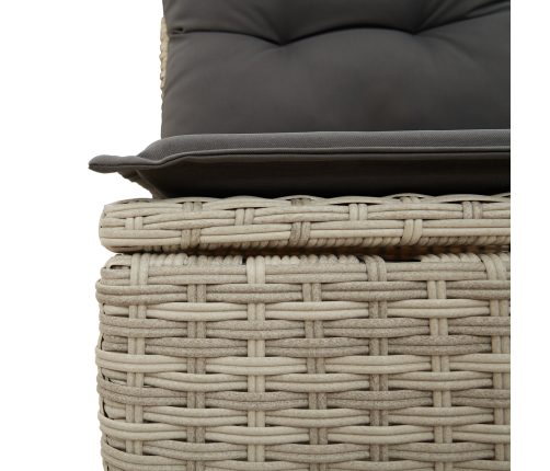 11 Daļu Dārza Dīvānu Komplekts Ar Spilveniem Pelēks Poli Rotangpalmas Vidaxl