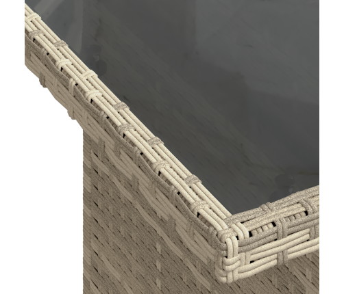 10 Daļu Dārza Dīvāna Komplekts Ar Spilveniem Gaiši Pelēks Poli Rotangpalma Vidaxl