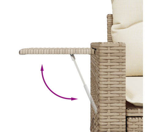 13 Daļu Dārza Dīvānu Komplekts Ar Spilveniem Bēšs Poli Rotangpalma Akācija Vidaxl