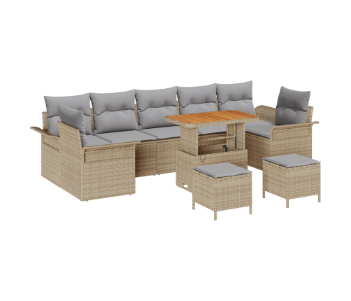 10 Daļu Dārza Dīvānu Komplekts Ar Spilveniem Bēšs Poli Rotangpalma Akācija Vidaxl