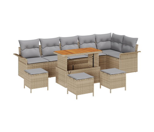 10 Daļu Dārza Dīvānu Komplekts Ar Spilveniem Bēšā Poli Rotangpalmas Akacija Vidaxl