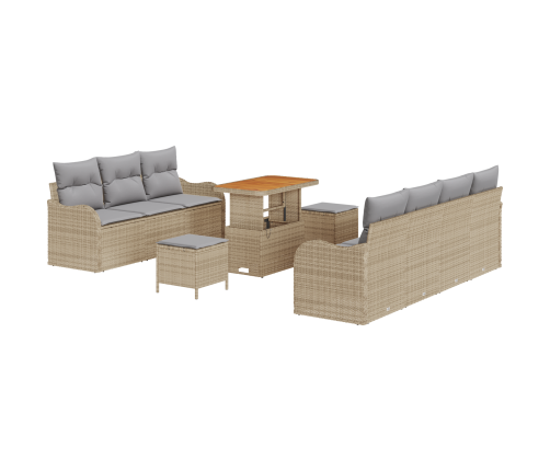 10 Daļu Dārza Dīvānu Komplekts Ar Spilveniem Bēšs Poli Rotangpalma Akācija Vidaxl