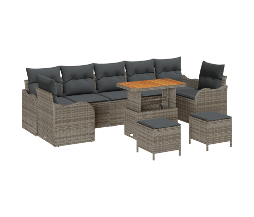 10 Daļu Dārza Dīvānu Komplekts Ar Spilveniem Pelēkā Poli Rotangpalma Akācijai Vidaxl