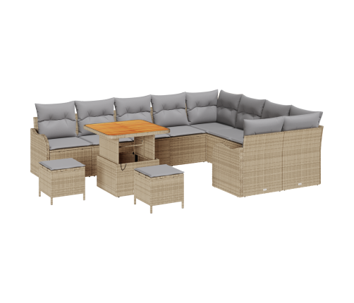 12 Daļu Dārza Dīvānu Komplekts Ar Spilveniem Bēšā Poli Rotangpalmas Akācijā Vidaxl