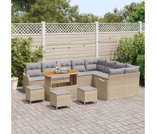 13 Daļu Dārza Dīvānu Komplekts Ar Spilventiņiem Bēšā Polirotangā Un Akācijā Vidaxl