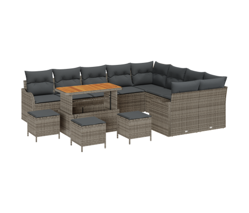 13 Daļu Dārza Dīvānu Komplekts Ar Spilveniem Pelēks Poli Rotangpalmas Akācija Vidaxl