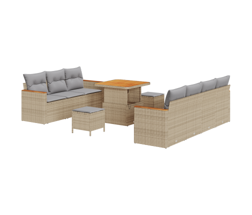 10 Daļu Dārza Dīvānu Komplekts Ar Spilveniem Bēšā Poli Rotangpalmas Akācijā Vidaxl