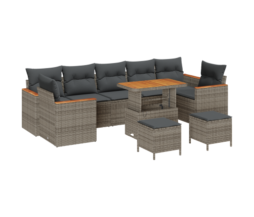 10 Daļu Dārza Dīvānu Komplekts Ar Spilveniem Pelēks Poli Rotangpalma Akācija Vidaxl