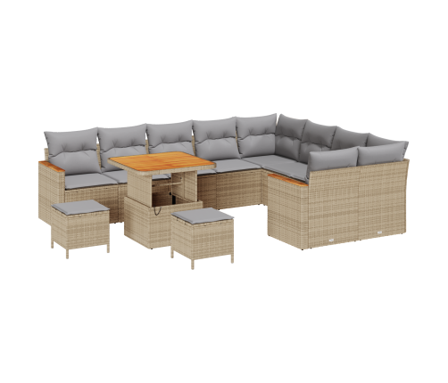 12 Daļu Dārza Sohva Komplekts Ar Spilveniem Bēšs Poli Rotangpalma Akācija Vidaxl