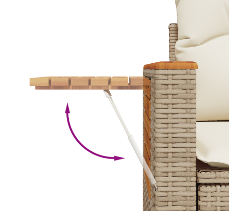 10 Gabalu Dārza Dīvānu Komplekts Ar Spilveniem, Bēšs Polirotangpalma, Akācija Vidaxl