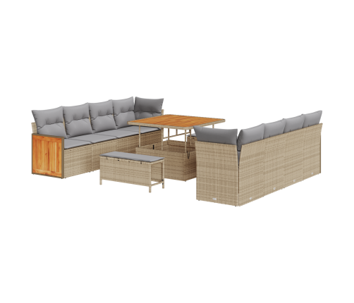 11 Gabalu Dārza Dīvānu Komplekts Ar Spilveniem Bēšs Polietilēna Rotangpalma Akācija Vidaxl