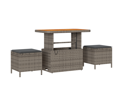 10 Daļu Dārza Dīvānu Komplekts Ar Spilveniem Pelēks Poli Rotangpalma Akācijas Vidaxl