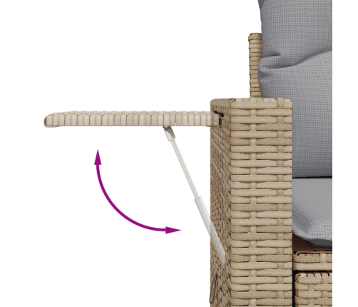 10 Daļu Dārza Dīvānu Komplekts Ar Bēšiem Poli Rotangpalmas Spilveniem Vidaxl