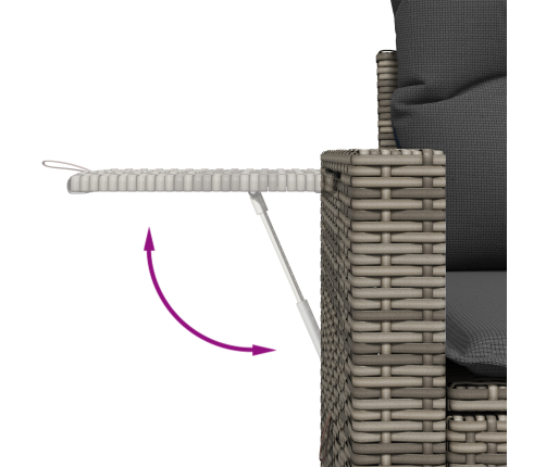 10 Gabalu Dārza Dīvānu Komplekts Ar Spilveniem Pelēkā Poliestera Rotangpalmas Akācijā Vidaxl