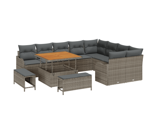 12 Gabalu Dārza Dīvānu Komplekts Ar Spilveniem Pelēks Poli Rattan Akācija Vidaxl