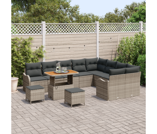 12 Gabalu Dārza Dīvānu Komplekts Ar Spilveniem Pelēks Polietilēna Rotangpalma Akācijas Vidaxl