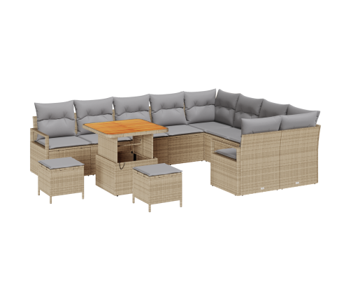 12 Gabalu Dārza Dīvānu Komplekts Ar Spilveniem Bēša Poli Rotangpalmas Akācijas Vidaxl