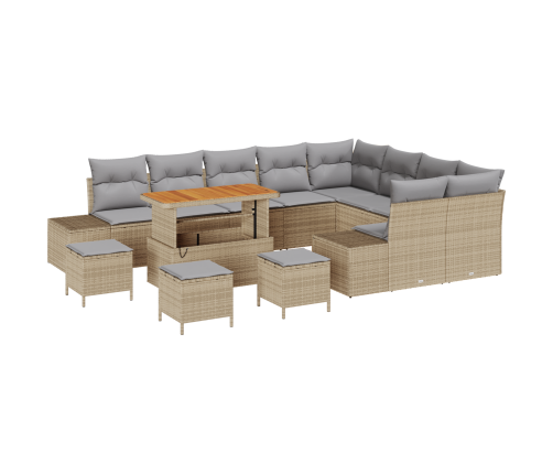 13 Daļu Dārza Dīvānu Komplekts Ar Spilveniem Bēšā Poli Rotangpalmas Akācijā Vidaxl