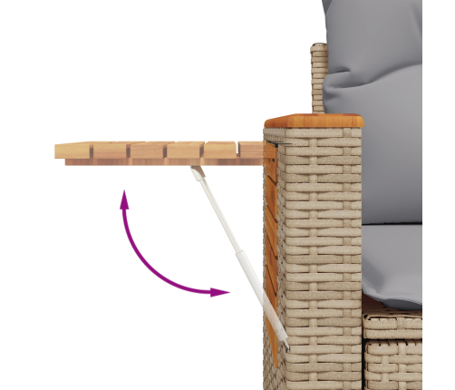 10 Daļu Dārza Dīvānu Komplekts Ar Spilveniem Bēšu Poli Rotangpalmas Akācijas Vidaxl