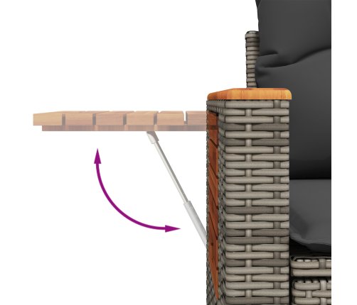 10 Daļu Dārza Dīvānu Komplekts Ar Spilveniem, Pelēks Poliratanā Akācija Vidaxl