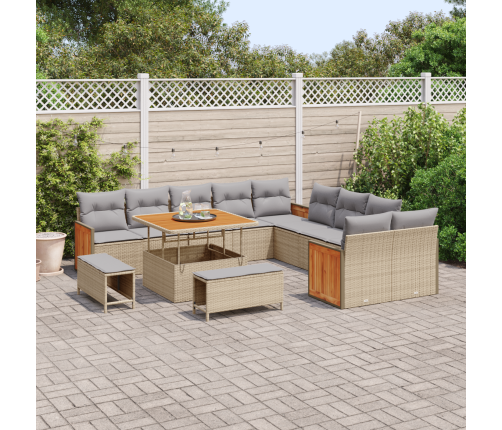 13 Daļu Dārza Dīvānu Komplekts Ar Spilveniem Bēšā Poli Rotangpalmas Akācijā Vidaxl